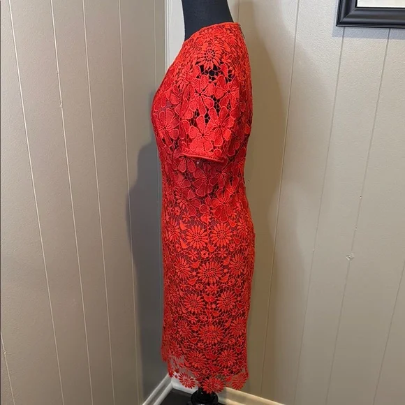 B6 Karen Millen Women’s 6 Scarlet Floral Lace Midi Dress - Picture 3 of 6